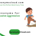 synonym for passive aggressive