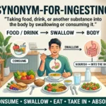 synonym for ingesting