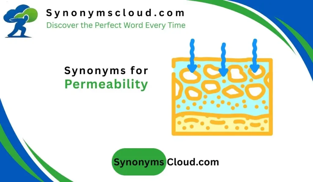 synonym for permeability