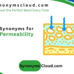 synonym for permeability