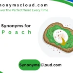 📚Synonyms for Poach: 45 Better Words (2026)