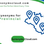 synonym for provincial