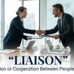 synonym for liaison