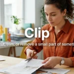 Synonyms for Clip