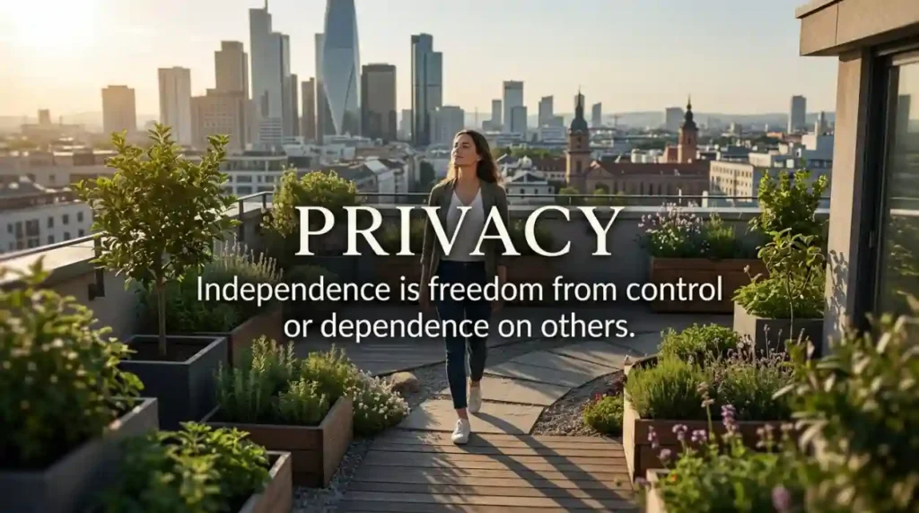 Independence is freedom from control or dependence on others.