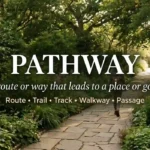 Synonyms for Pathway