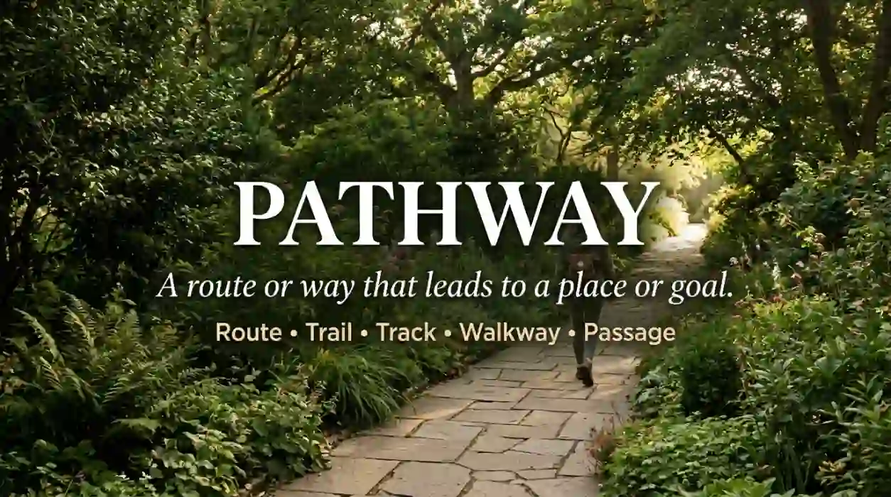 Pathway Synonyms: 50 Helpful Words for Better English